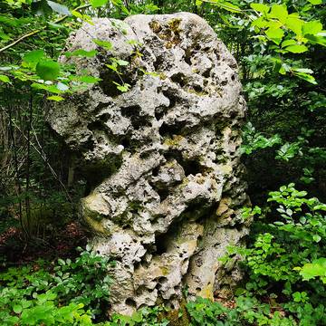 Menhir de la Grande Borne à Coulmier-le-Sec